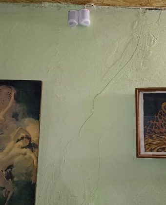 53